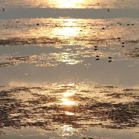 Oltmanns Emsstrom * Greetsiel