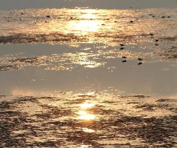 Oltmanns Emsstrom * Greetsiel